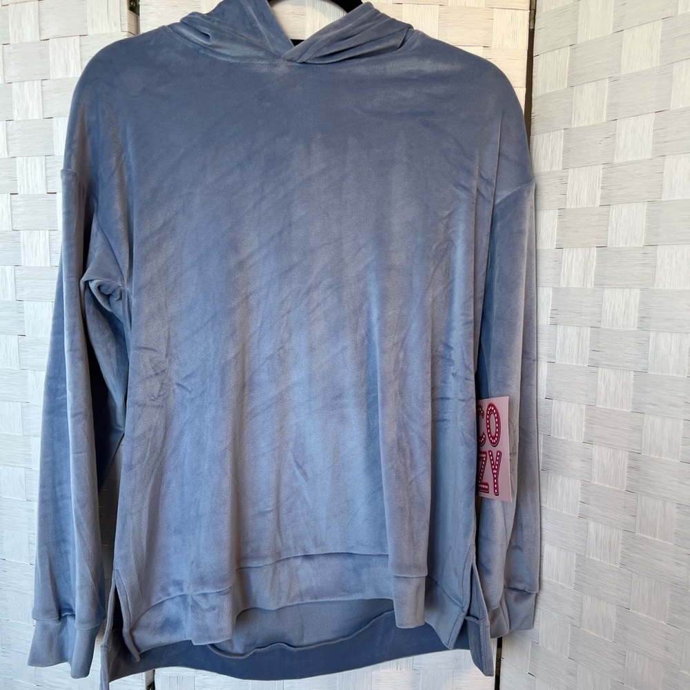 NWT Soft Blue Velvet Sweater with Hood